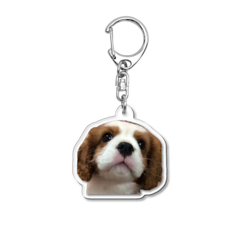 kantasanのDog Acrylic Key Chain