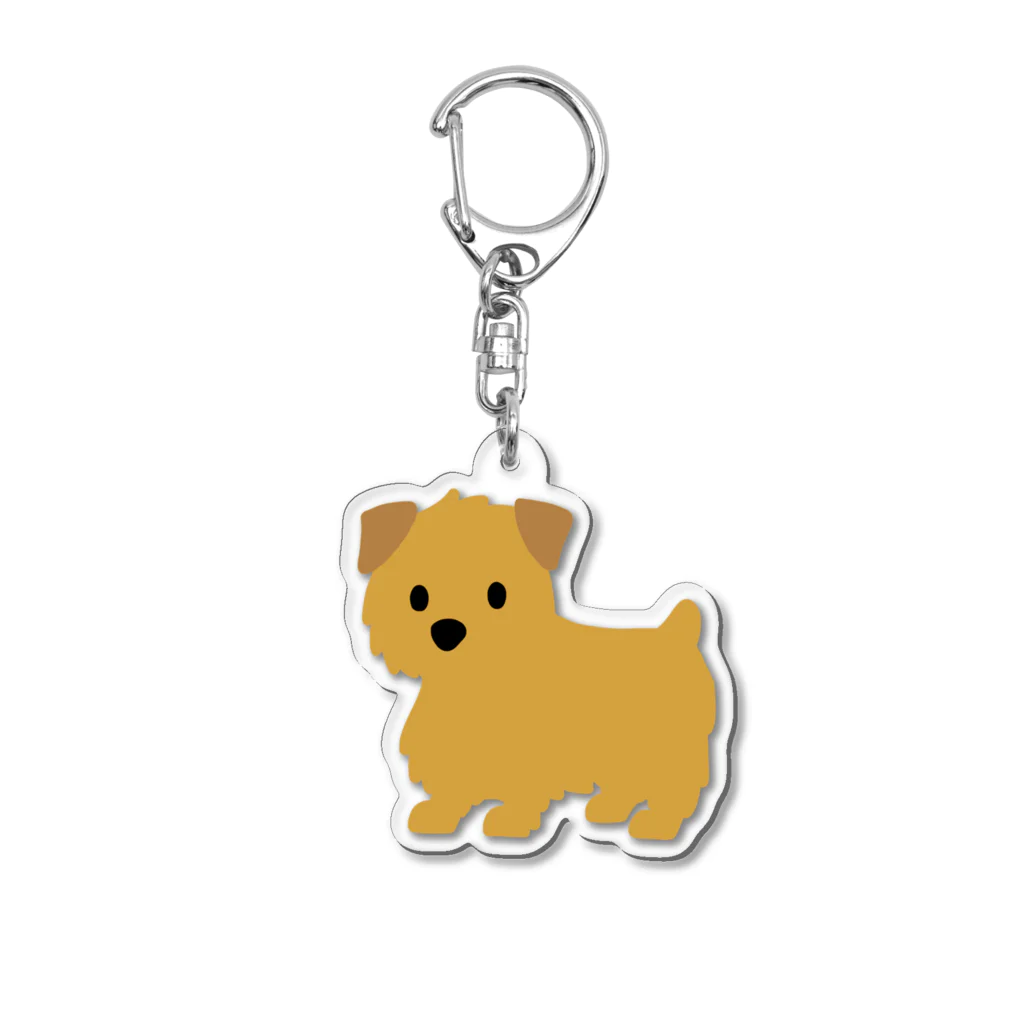 TOMOS-dogのnorfolkterrier（レッド） Acrylic Key Chain
