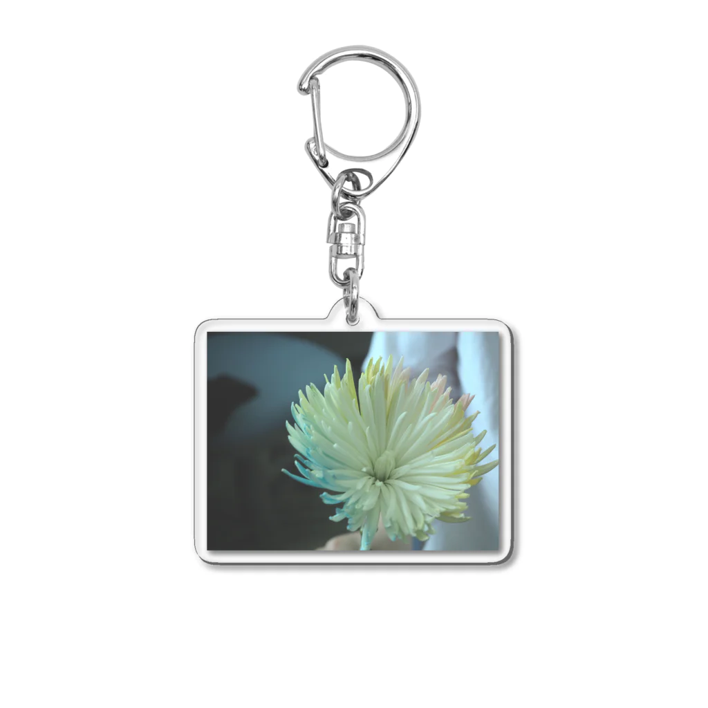 bloomのCOLOR Acrylic Key Chain