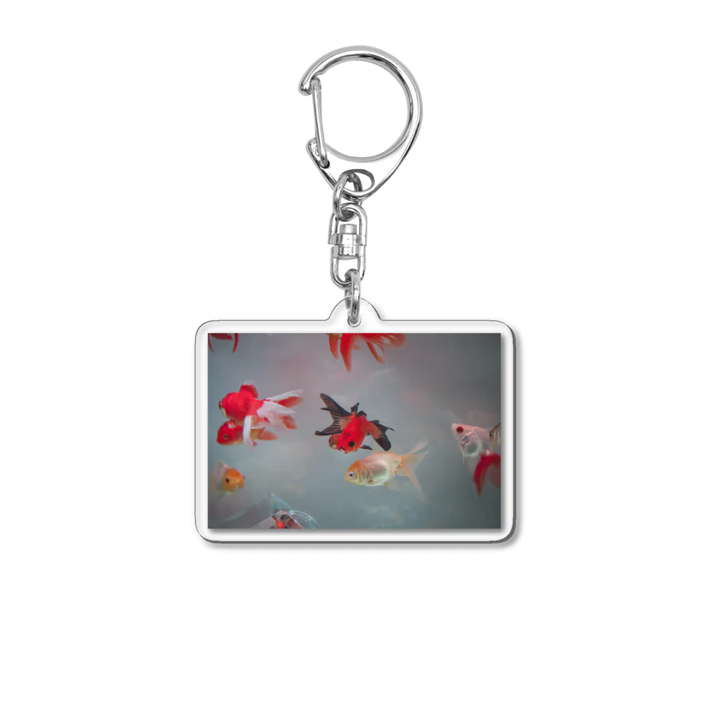 五月雨アクションの金魚 Acrylic Key Chain