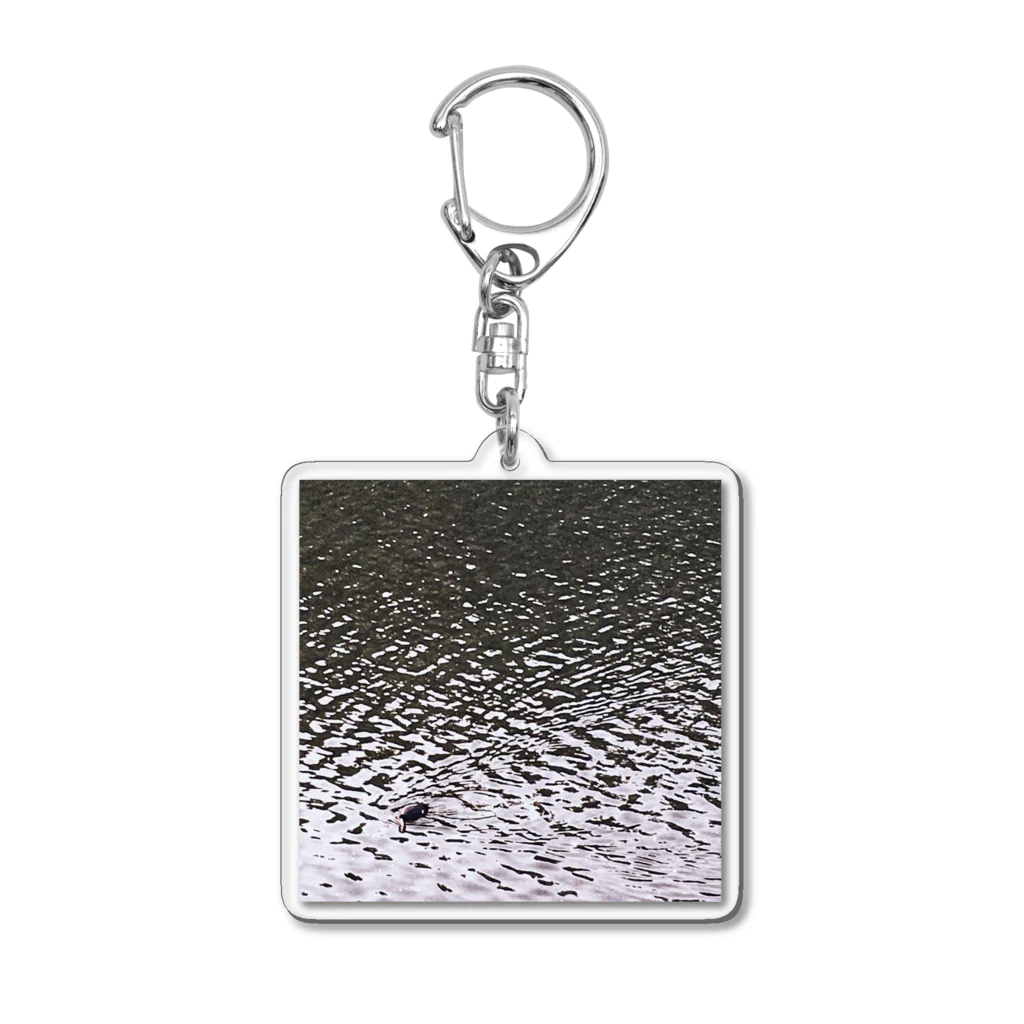 写真の20220410_オオバン Acrylic Key Chain