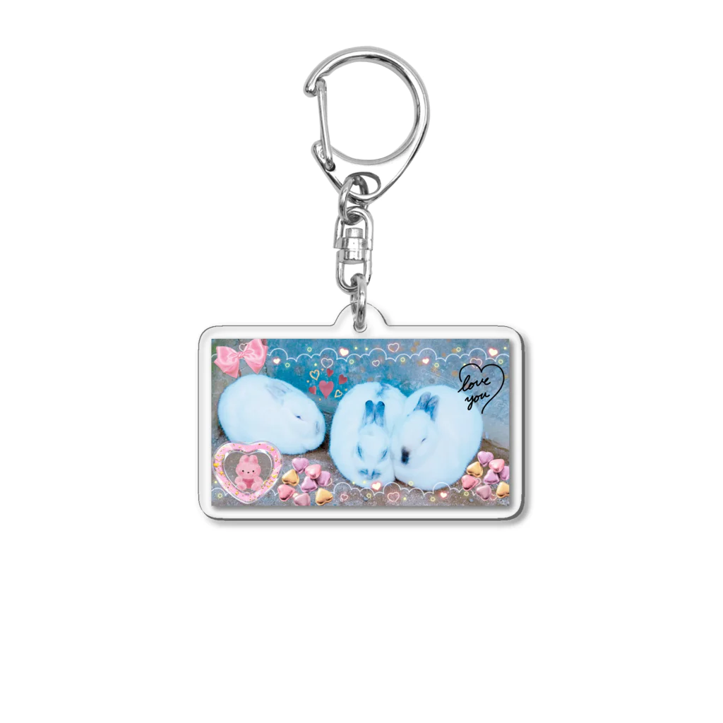 神丸のウサギ Acrylic Key Chain