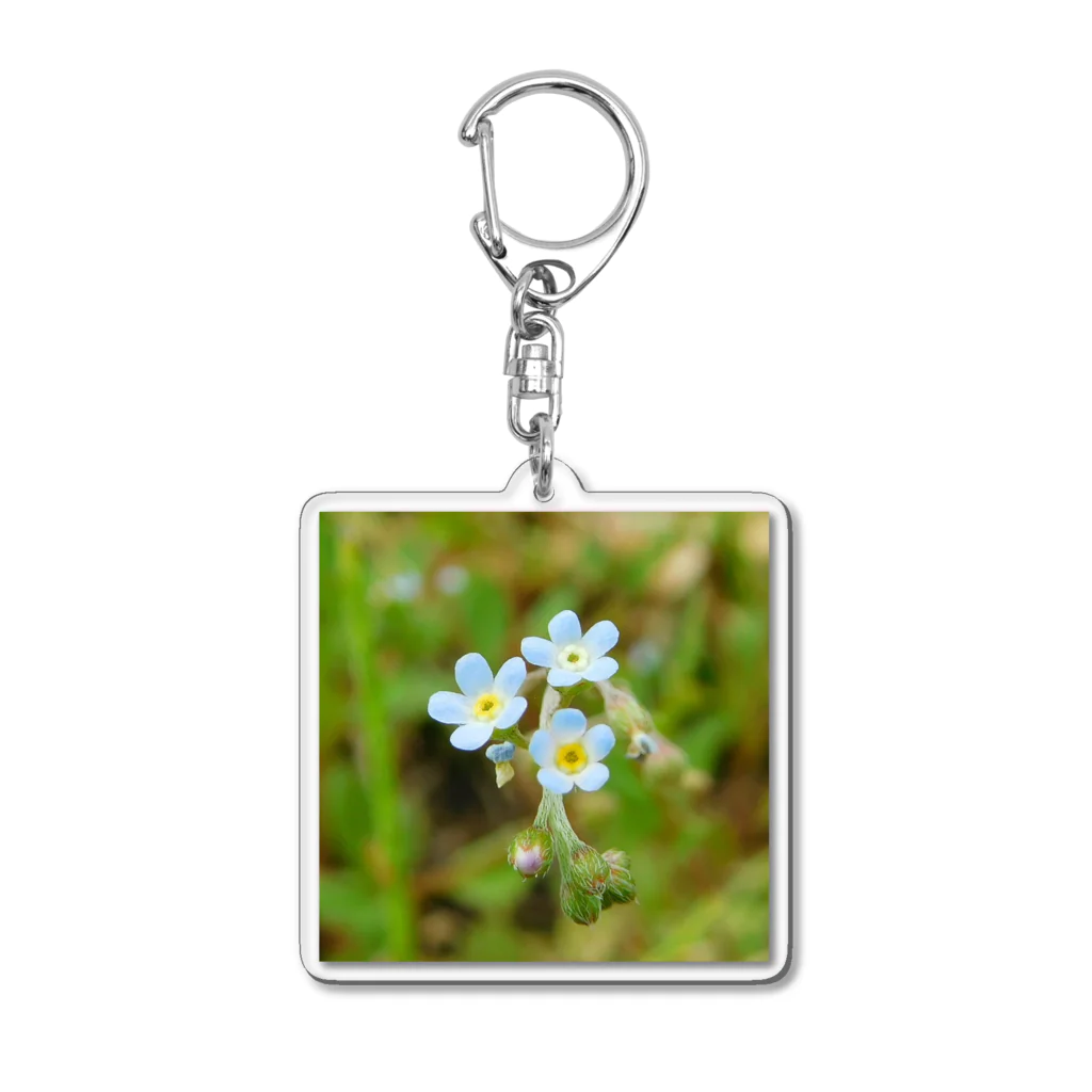 六号商店のLittle Pale blue Acrylic Key Chain