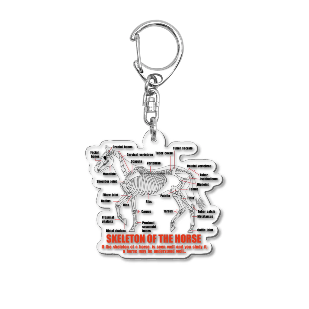 こさぶぅ店長の馬グッズラボの馬の骨スケルトンホース・SKELETON HORSE Acrylic Key Chain