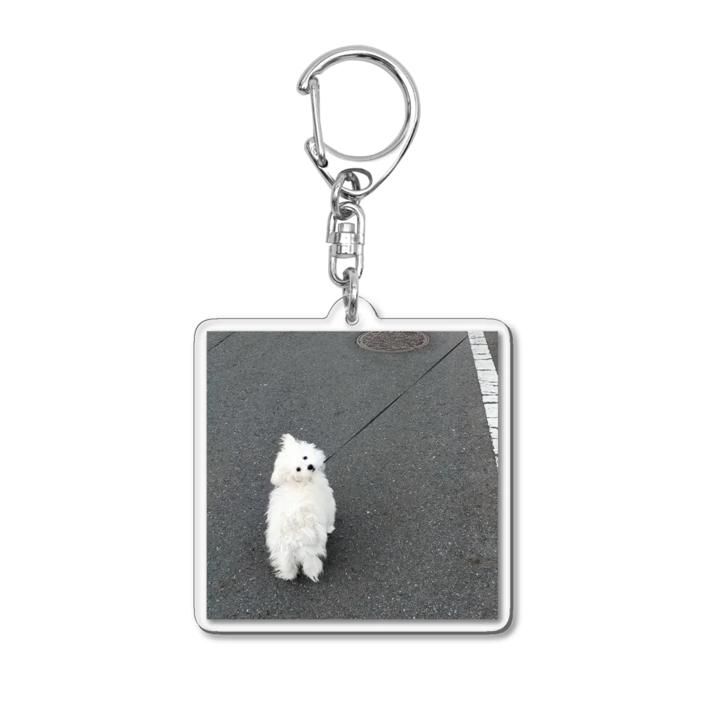 chehongmanのおさんぽ Acrylic Key Chain