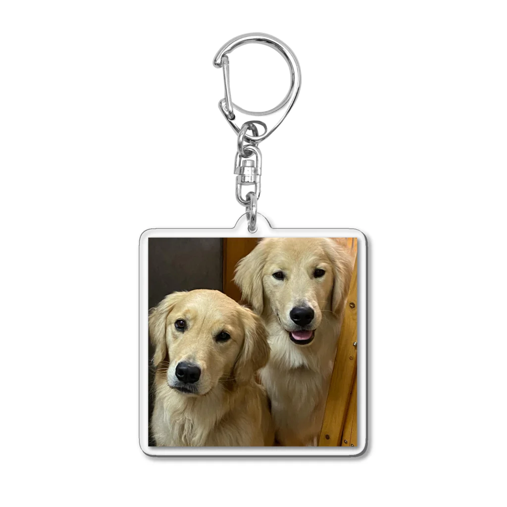 Golden Retriever Sarah&TaroのGolden Retriever Sarah&Taro3 アクリルキーホルダー