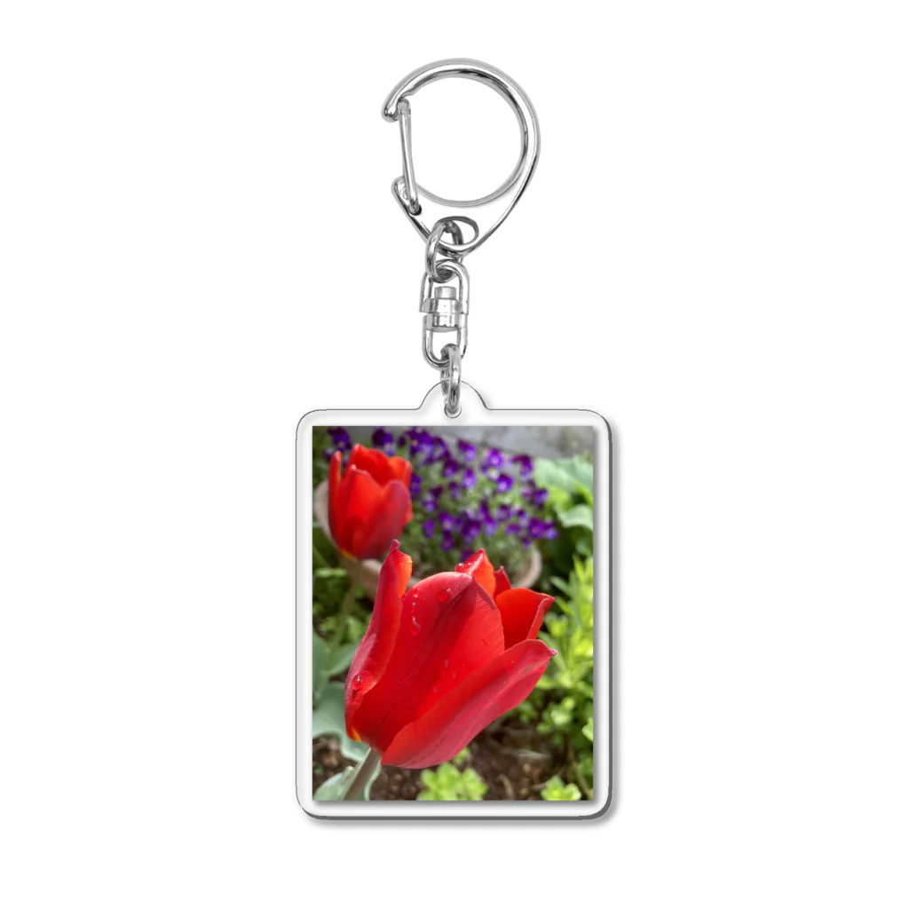 そらもようのチューリップ⸜🌷︎⸝ Acrylic Key Chain