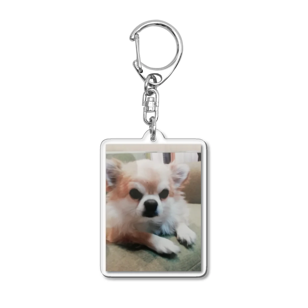 NUTSのNUTS Acrylic Key Chain