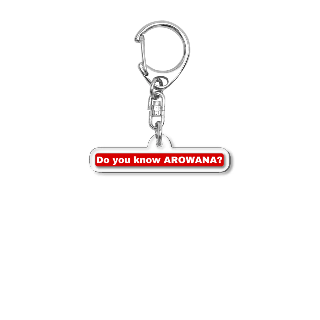 【BOWZ】RAリックアッガイの表裏デザインアロワナって知ってる？　by RA Acrylic Key Chain