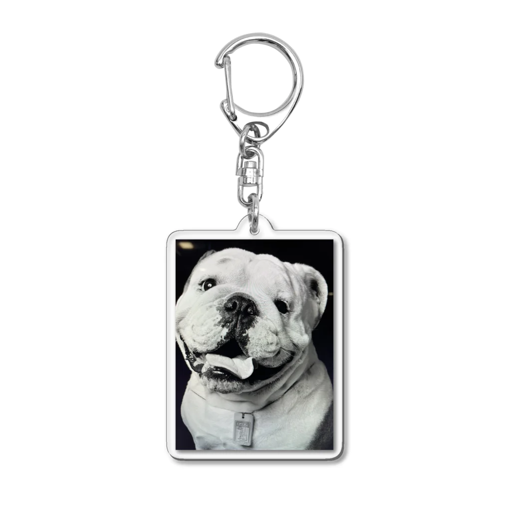 Bullsonのブルドッグ【タイソン】グッズ Acrylic Key Chain