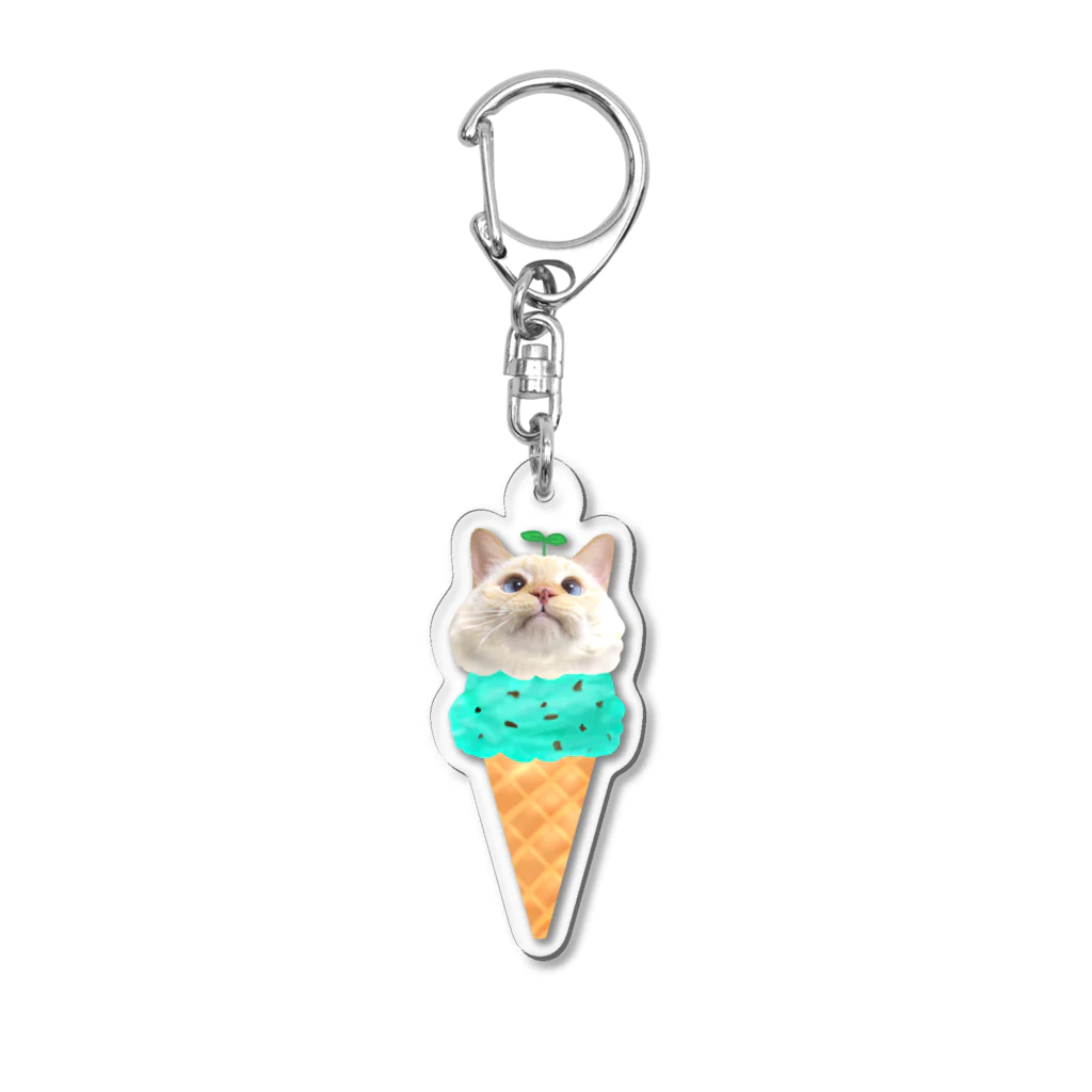 じゅりあんぐ！のダブルちゃん チョコミント Acrylic Key Chain