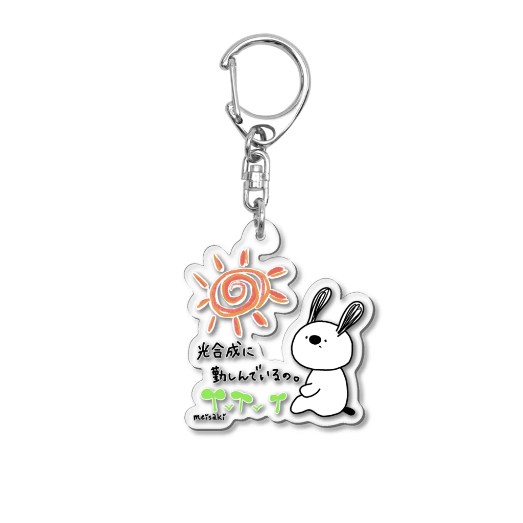 meisaki shopの光合成 ぺんでぽん Acrylic Key Chain