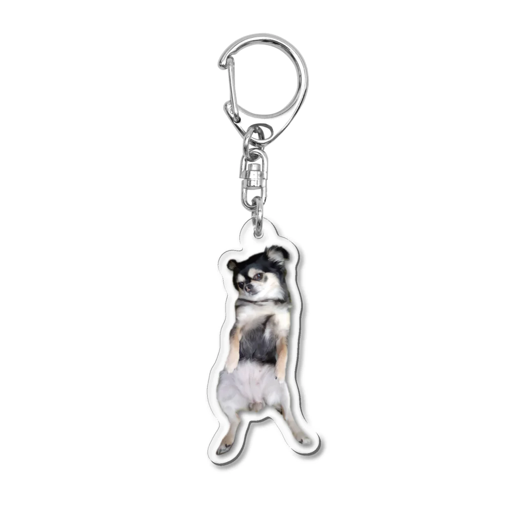 【ホラー専門店】ジルショップの変な犬❷ ちわわ＊やる気のない犬 Acrylic Key Chain