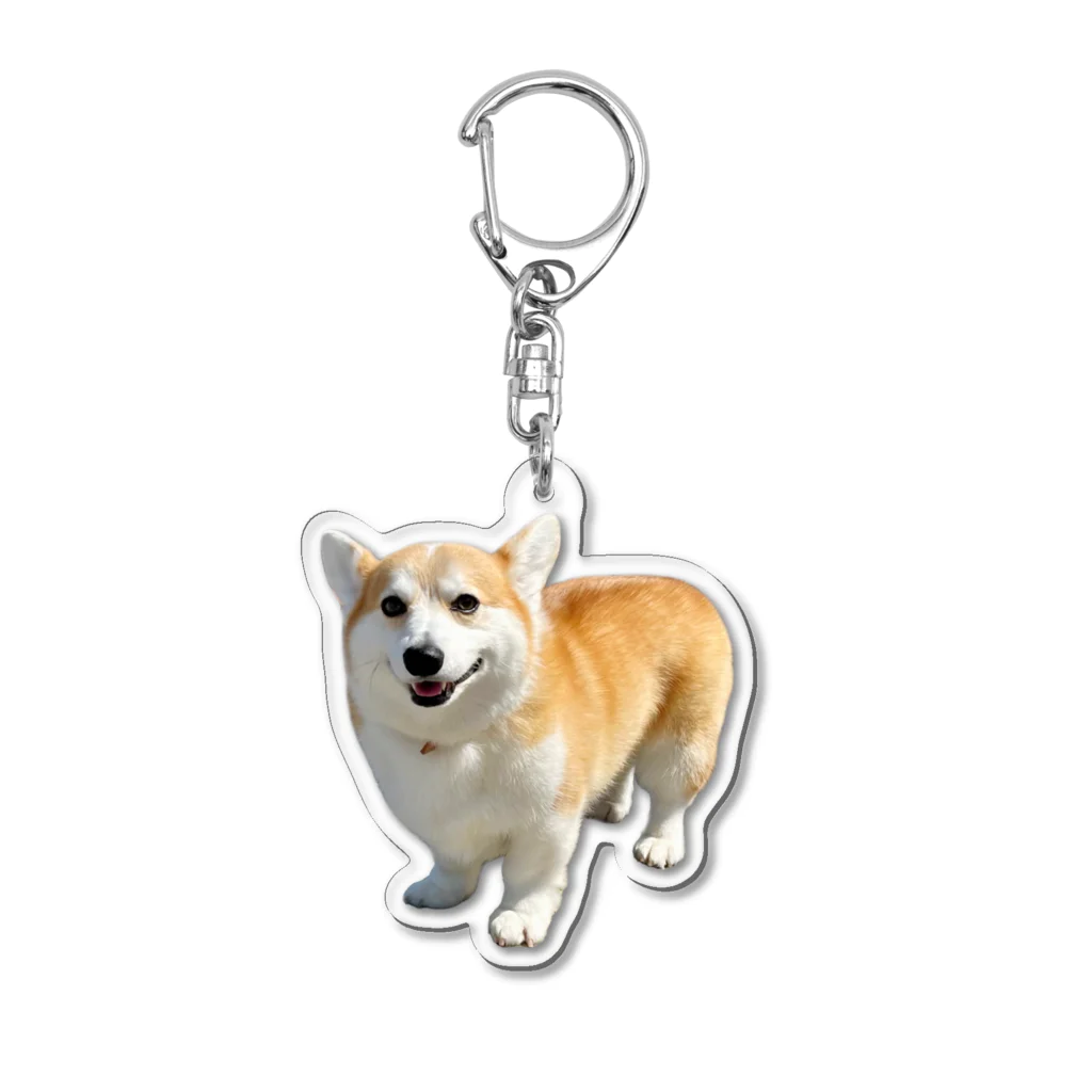 ガブちゃんのふかふか Acrylic Key Chain