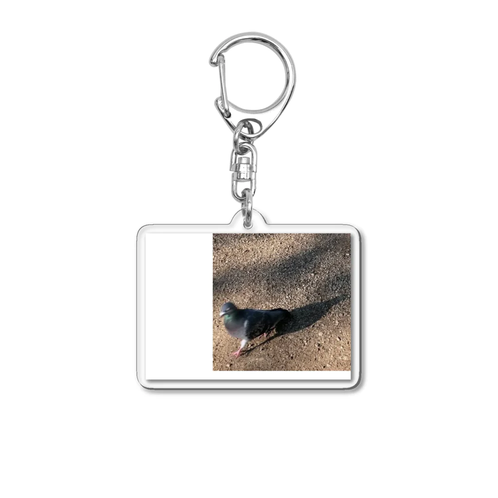 ニコ…🦆の疾走する鳩（余白あり） Acrylic Key Chain