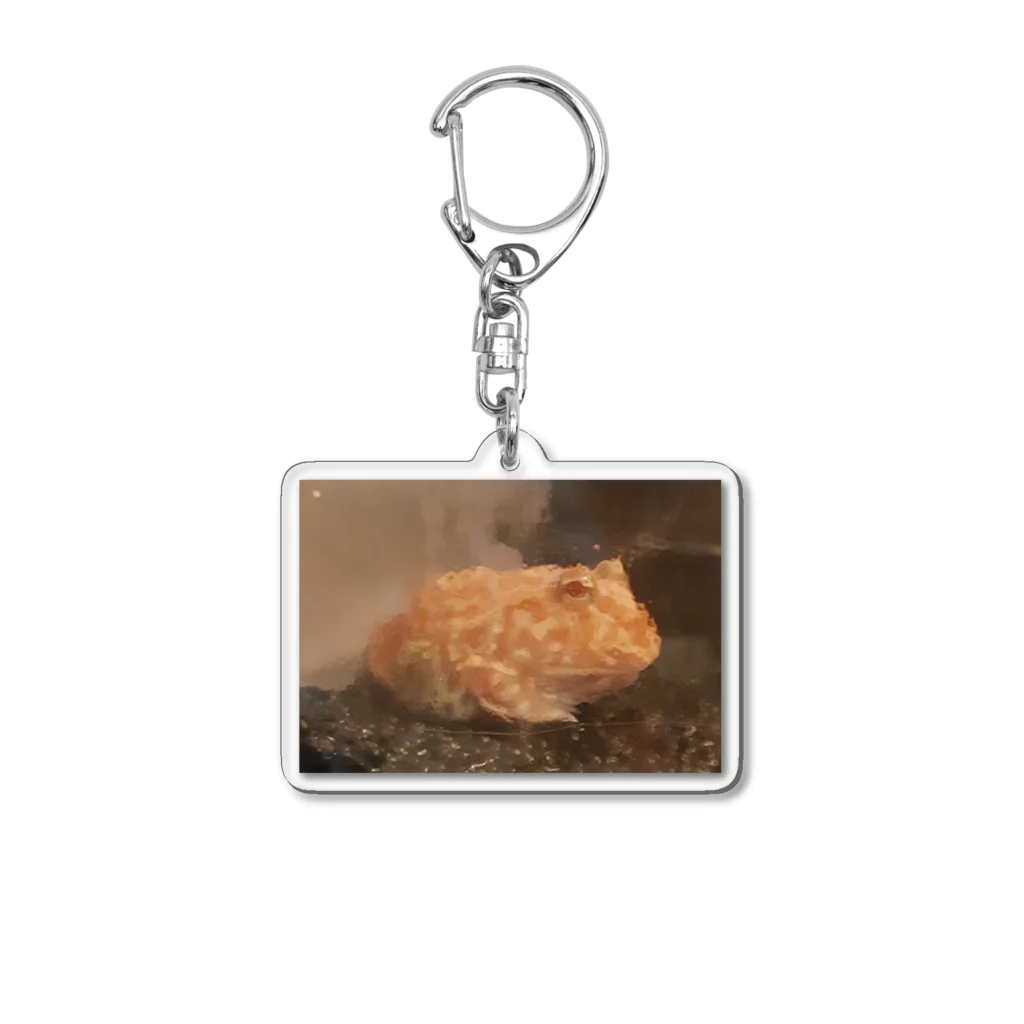 YOKOのSHOPのKoma Acrylic Key Chain