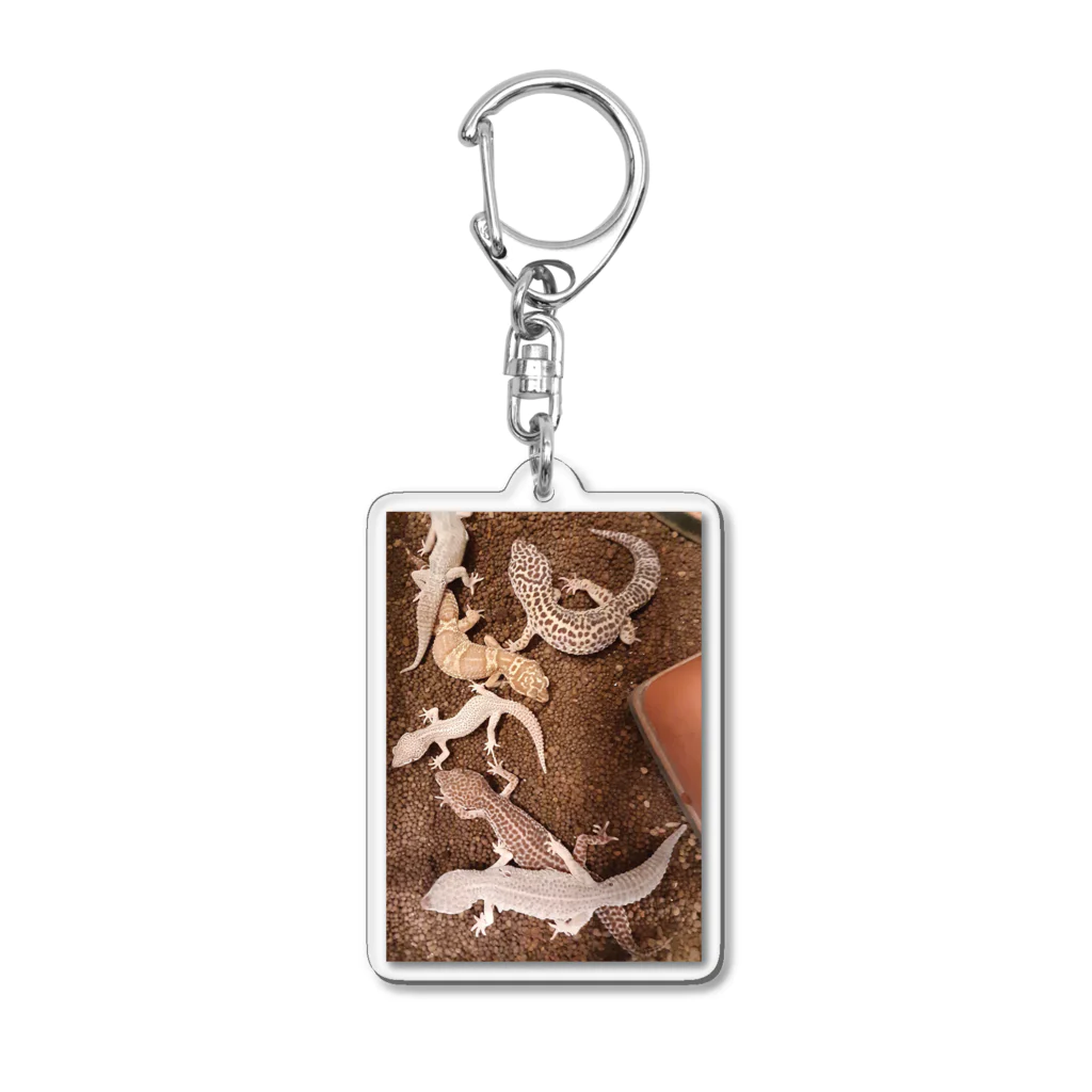 YOKOのSHOPのLouis&Lulu&Eru&Rin&Yuki&Hana Acrylic Key Chain