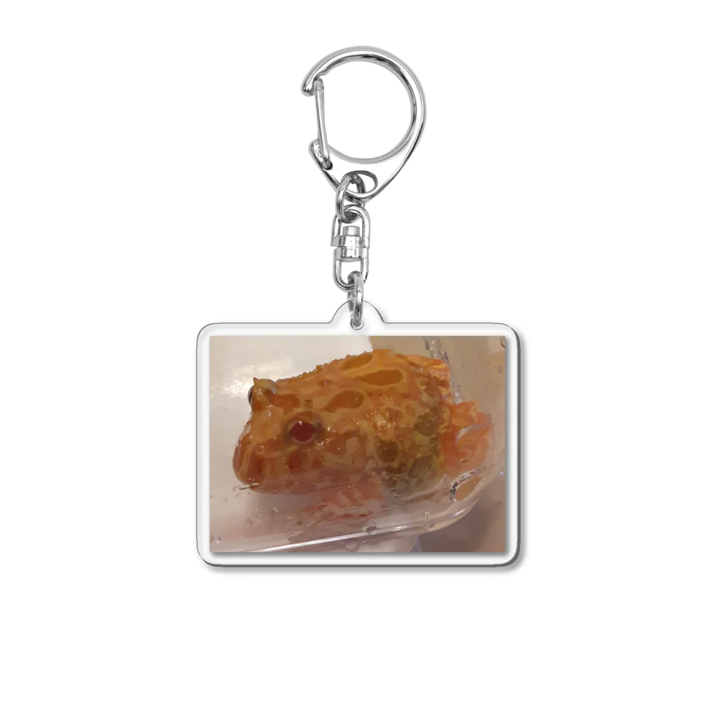 YOKOのSHOPのAhiru Acrylic Key Chain