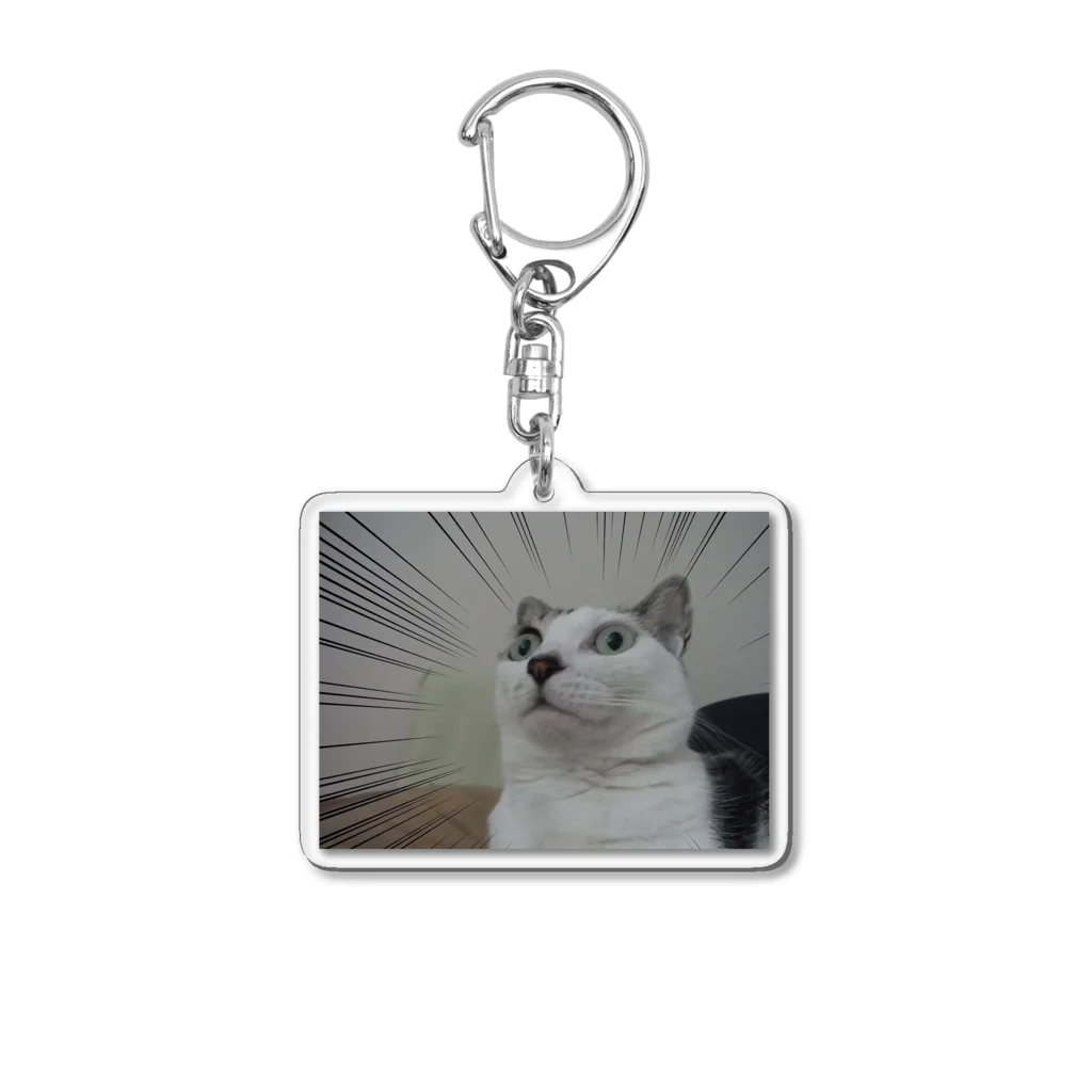 つるりんのびっくり ひめ Acrylic Key Chain