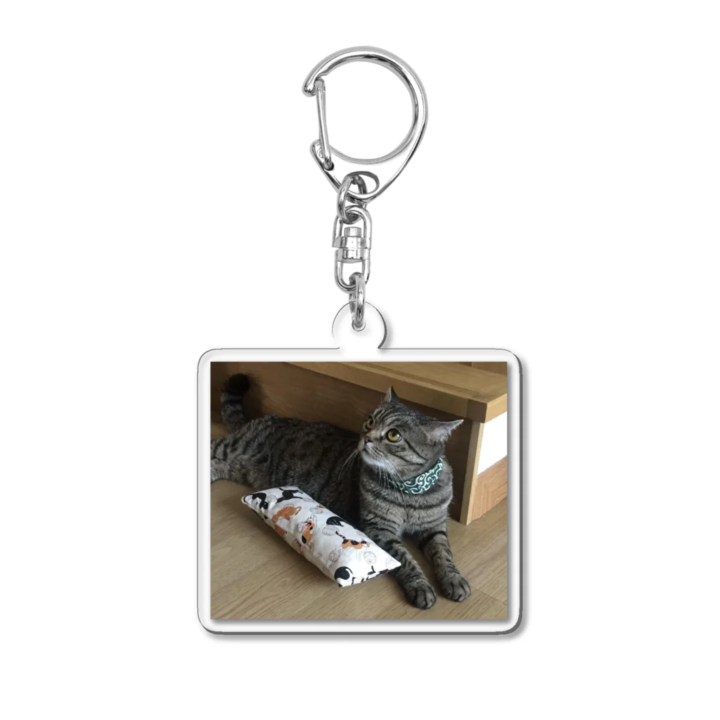 きょうのうちのこ Acrylic Key Chain