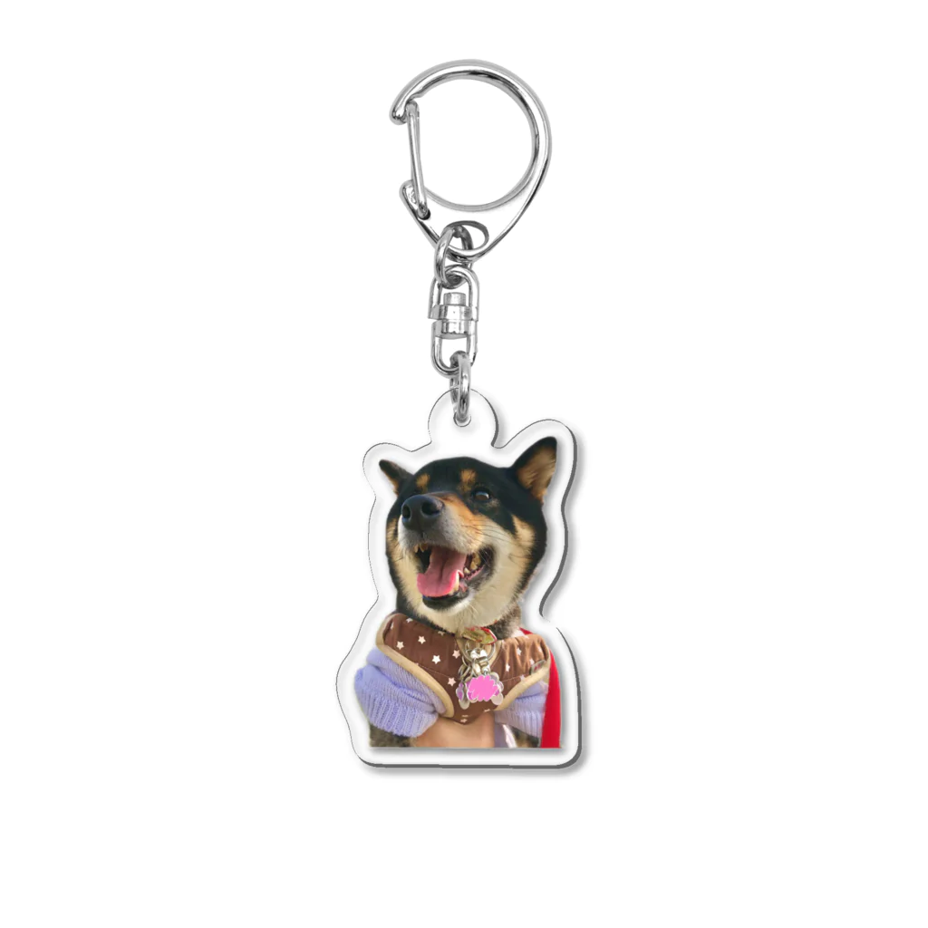 らんととれんの蓮ちゃん 柴犬 Acrylic Key Chain