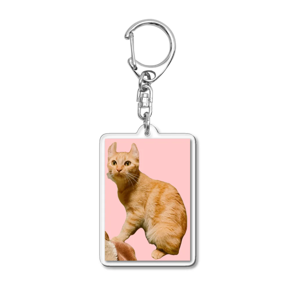 ふじちゃんのまろんちゃんキーホルダー Acrylic Key Chain