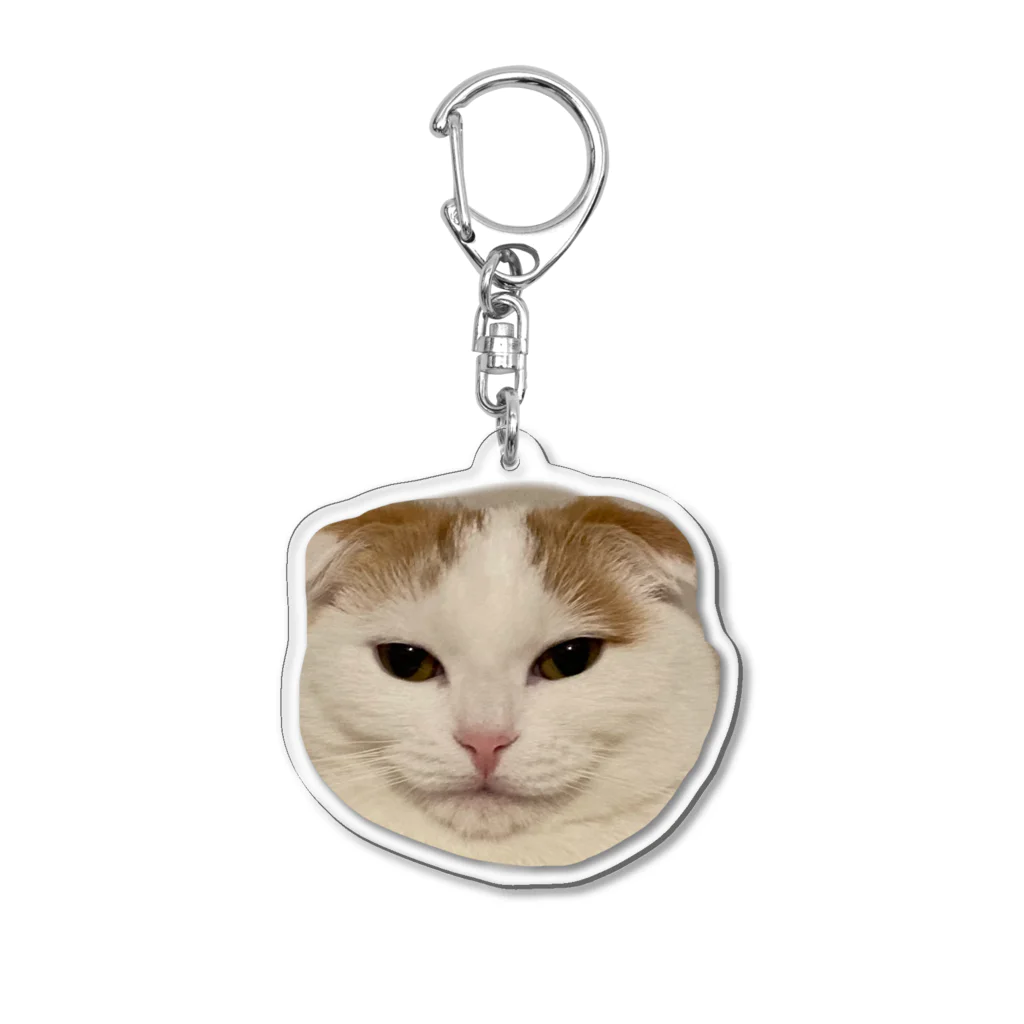 きなこ企画の愛猫きなこのオリジナルグッズ Acrylic Key Chain