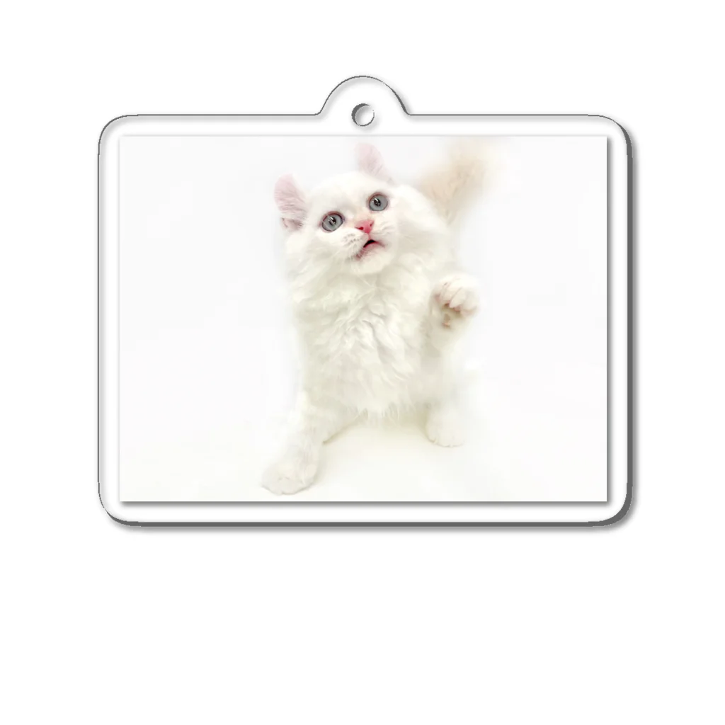 Milkoftheguineapigの白猫 Acrylic Key Chain