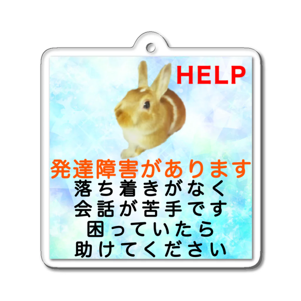 ドライ2のうさぎ　発達障害　多動　会話が苦手　コミュニケーションが苦手 ASD ADHD Acrylic Key Chain