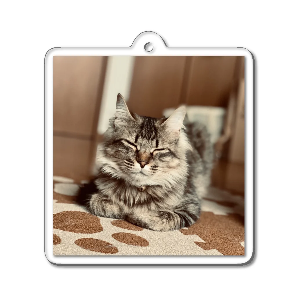 保護猫ファミリーの虎徹コレクション Acrylic Key Chain