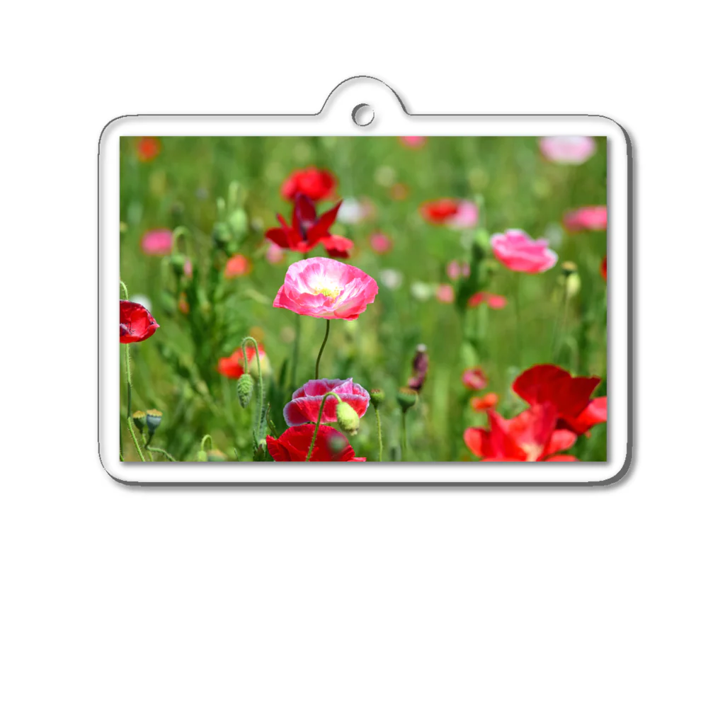 天秤座の晴れた日、ポピーの花畑で Acrylic Key Chain