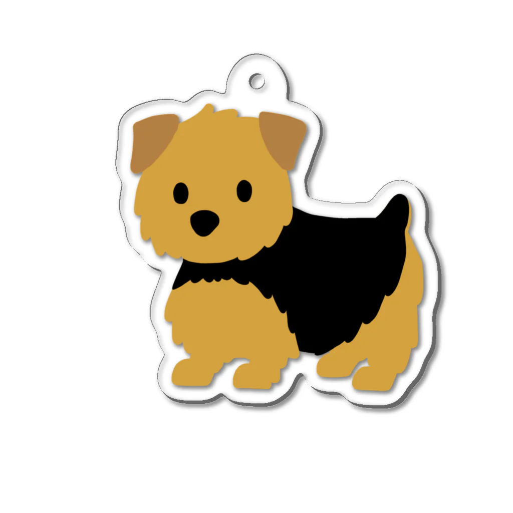 TOMOS-dogのnorfolkterrier（ブラタン） Acrylic Key Chain