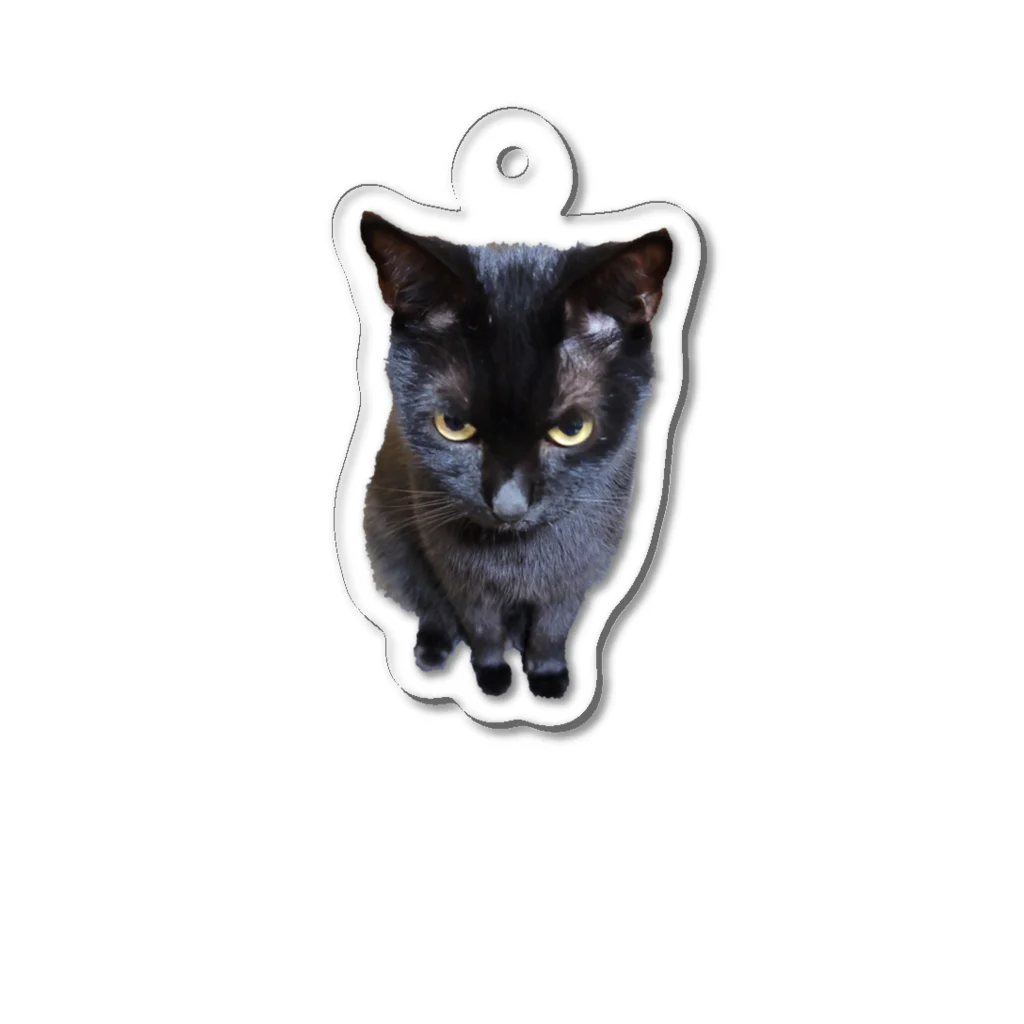 黒猫Onlyの黒猫2 Acrylic Key Chain