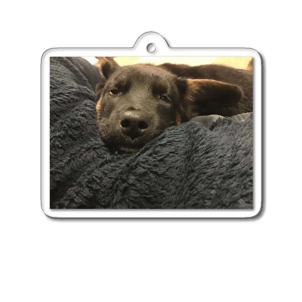 カエルの寝てる犬 Acrylic Key Chain