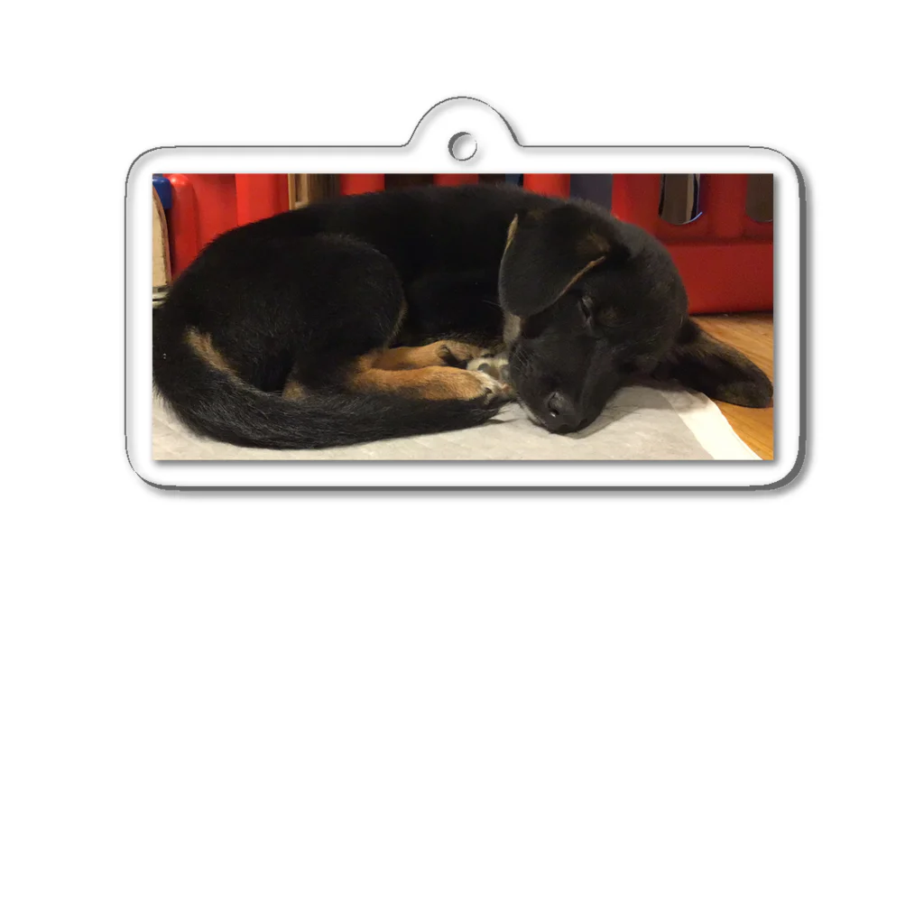 カエルの寝てる犬 Acrylic Key Chain