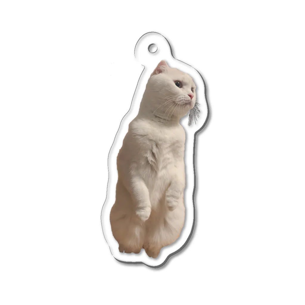 ソイねこもふもふのおこじょそい Acrylic Key Chain