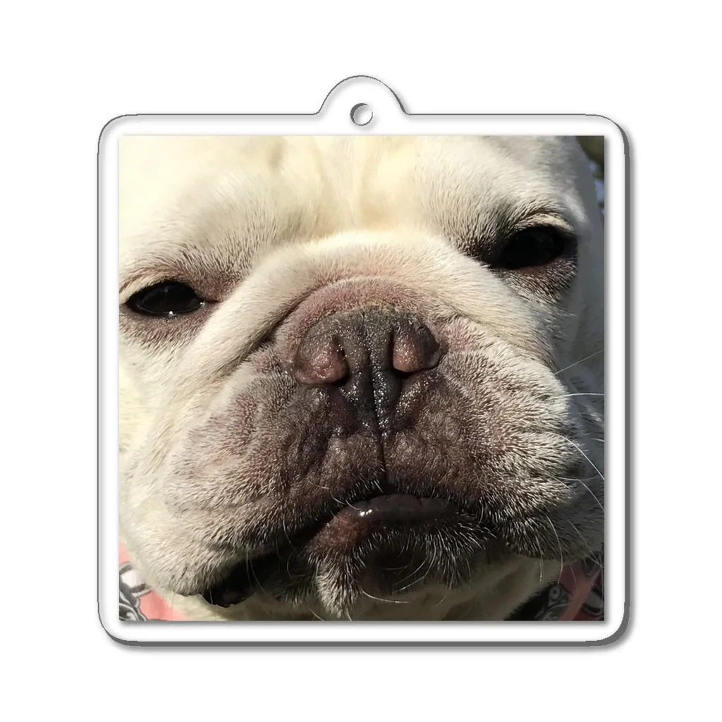 ロキの店の虚無犬 Acrylic Key Chain