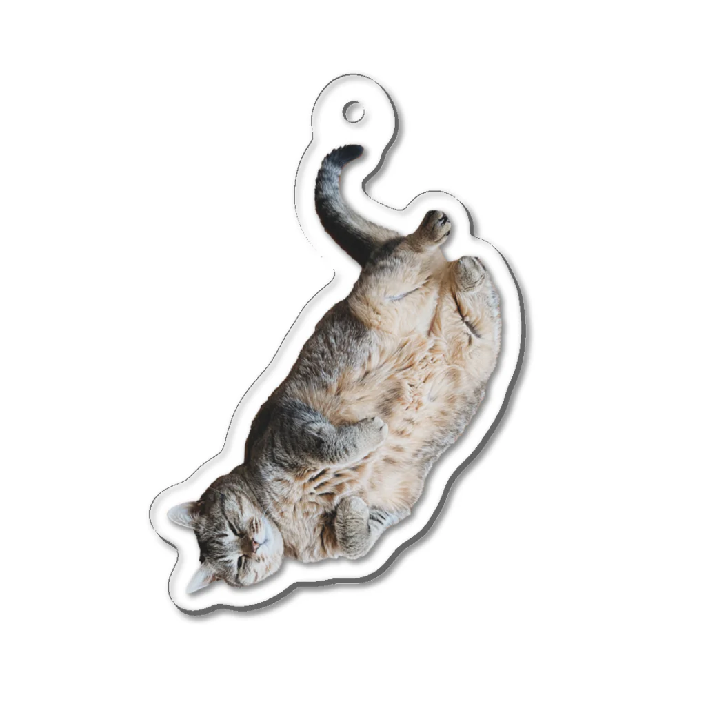 城の3月17日の落ちてる猫です Acrylic Key Chain