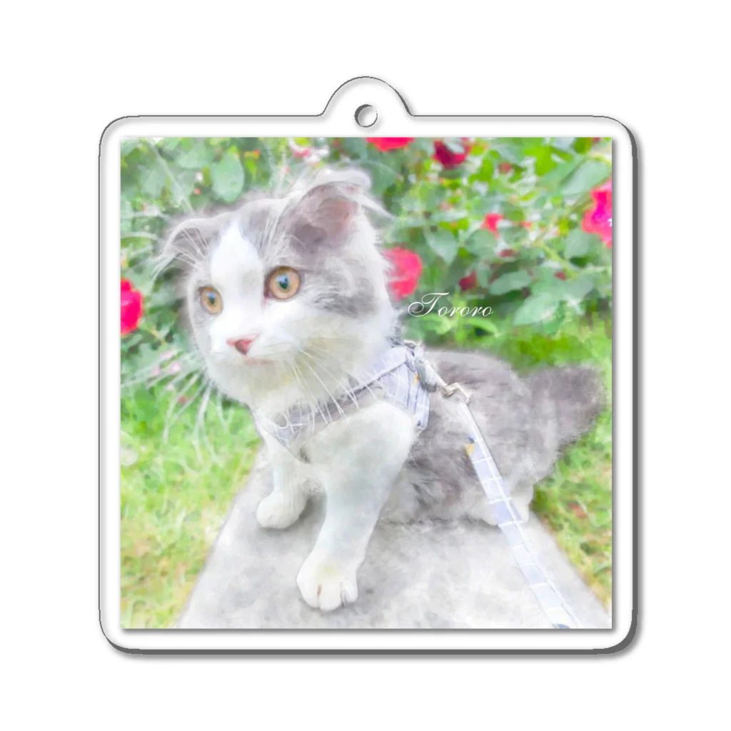 クリアスペットのscottishfold_tororo Acrylic Key Chain