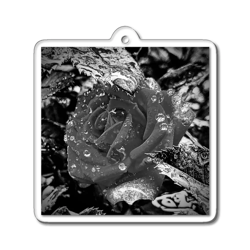 お花描き屋さんの雨後の薔薇(モノクロver) アクリルキーホルダー