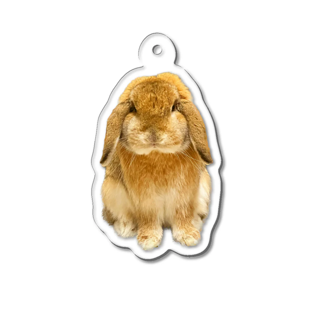 たれ耳うさぎのもこのたれ耳うさぎのもこちゃん Acrylic Key Chain