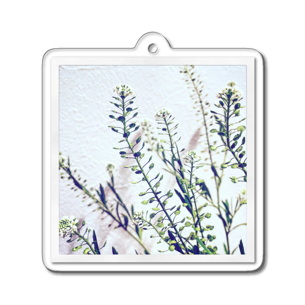 blancillaの揺れる花 アクリルキーホルダー