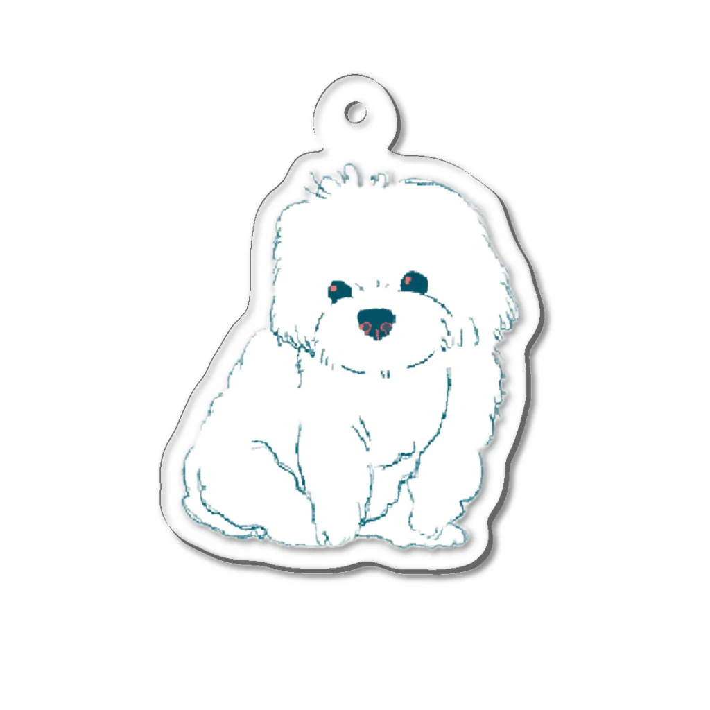 akariのマルチーズもふもふ Acrylic Key Chain