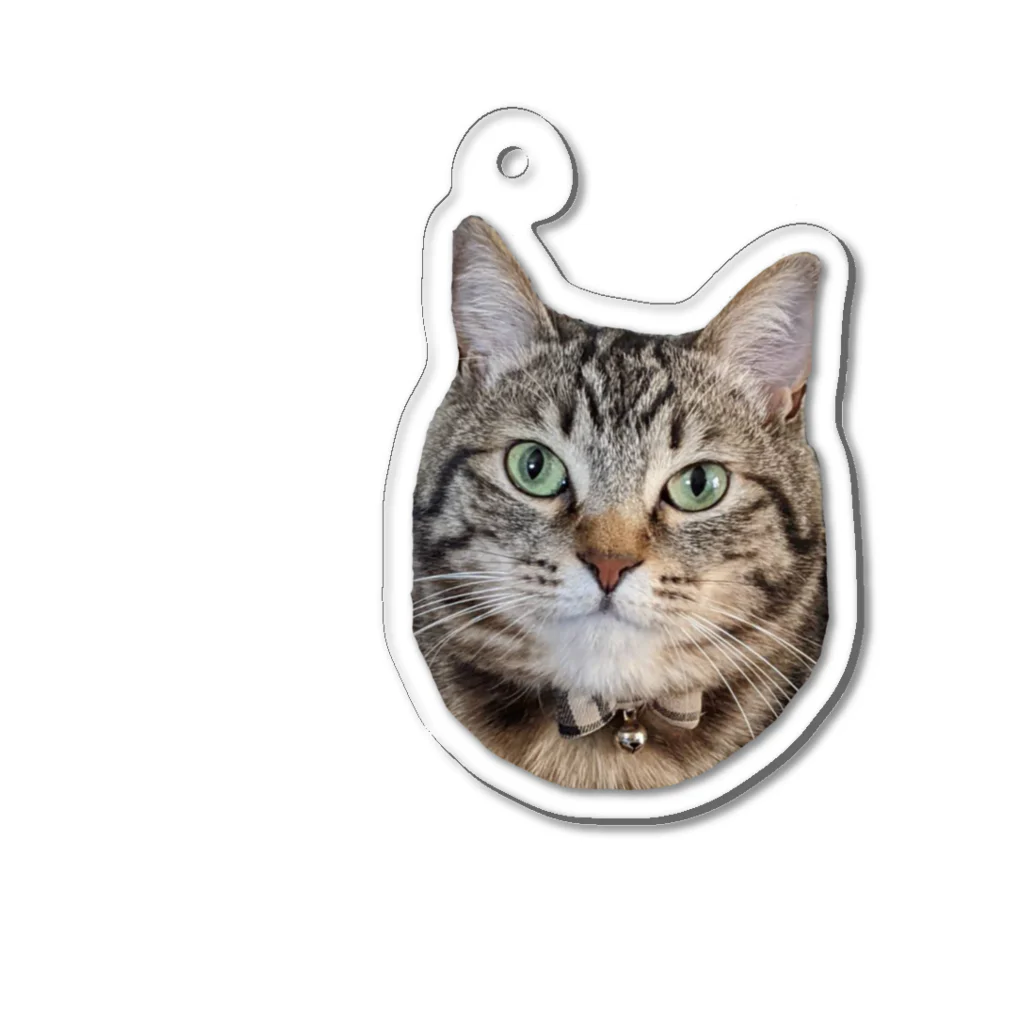 ほたるCat Worksのほたるキーホルダー Acrylic Key Chain