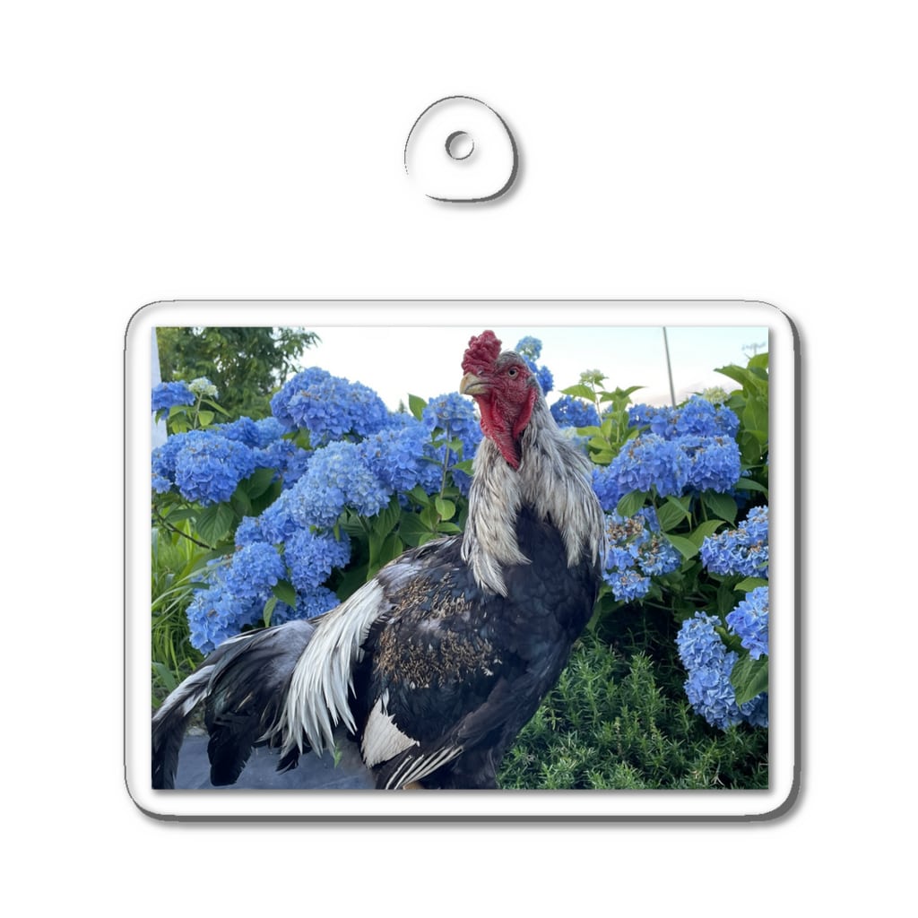 コエヨシの声良鶏ｺｴﾖｼﾄﾞﾘ Acrylic Key Chain