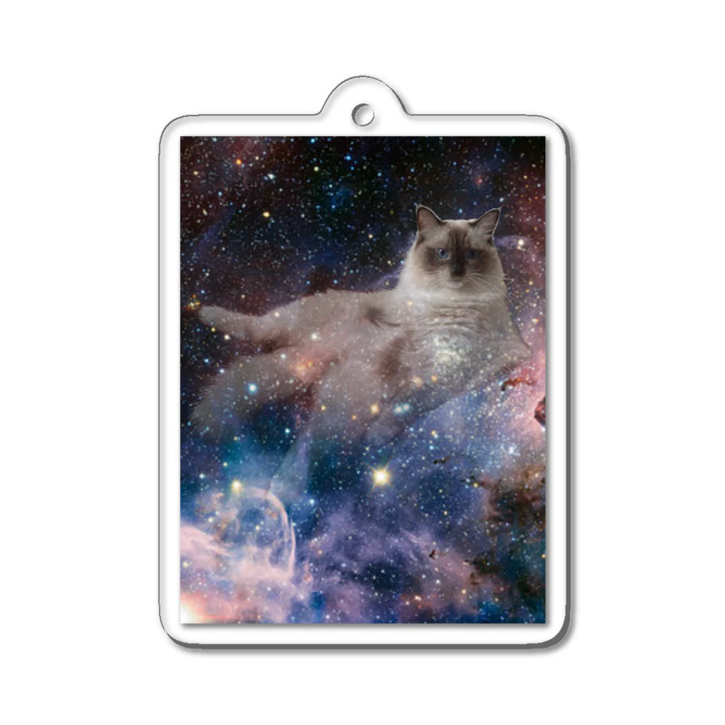 BFCisのBLACK FACE CAT in space  Acrylic Key Chain