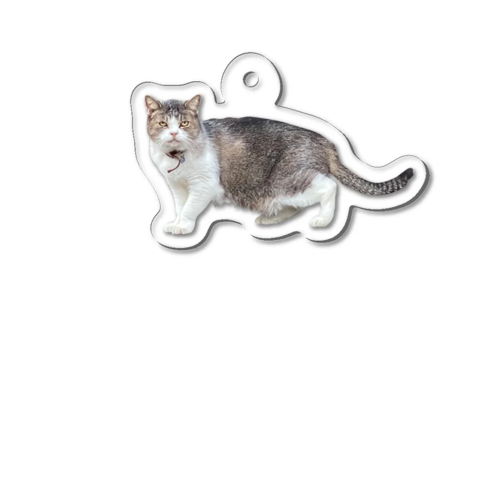 HAL🍭R556Pの造形のおかしい猫 Acrylic Key Chain