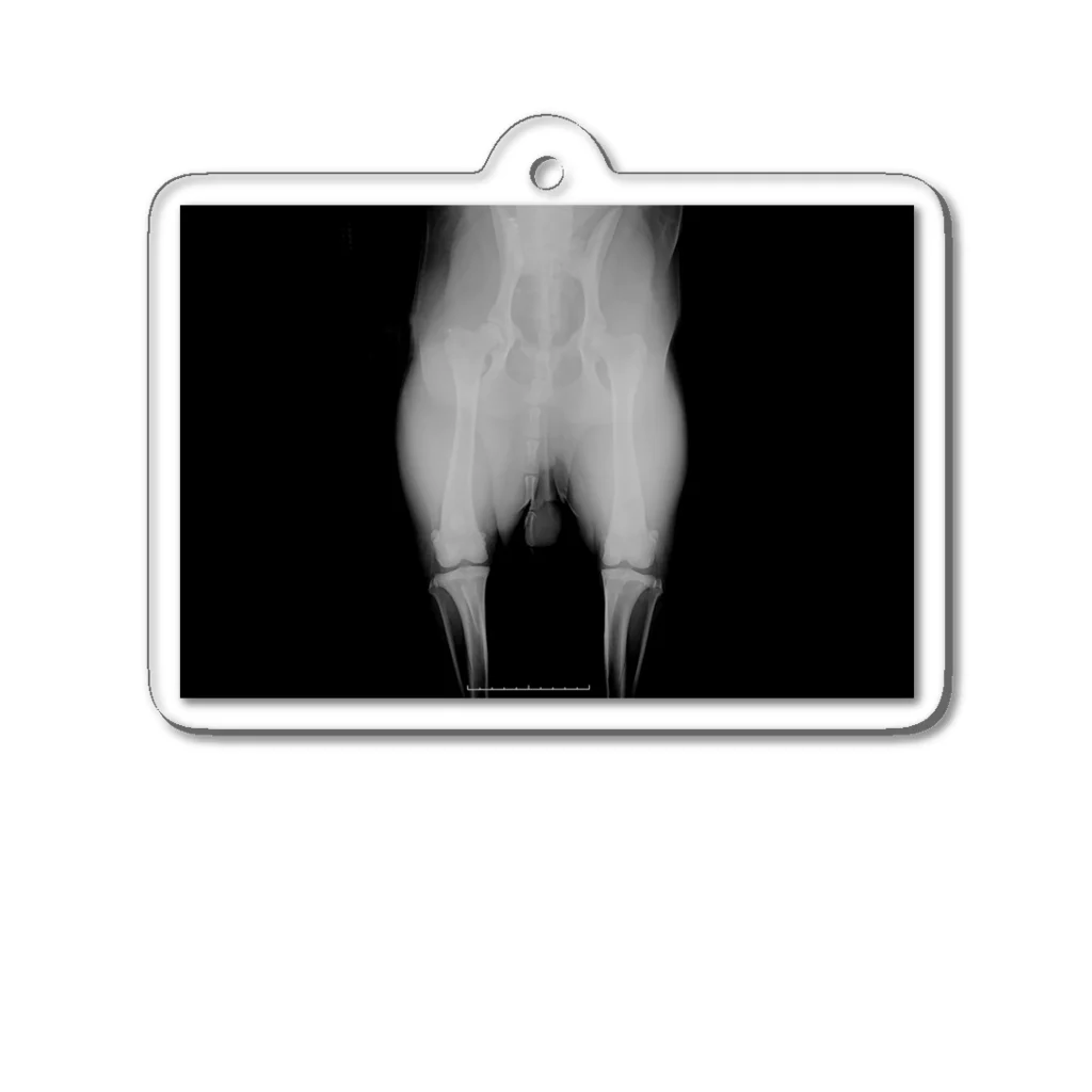 neepの健康股関節 アクリルキーホルダー