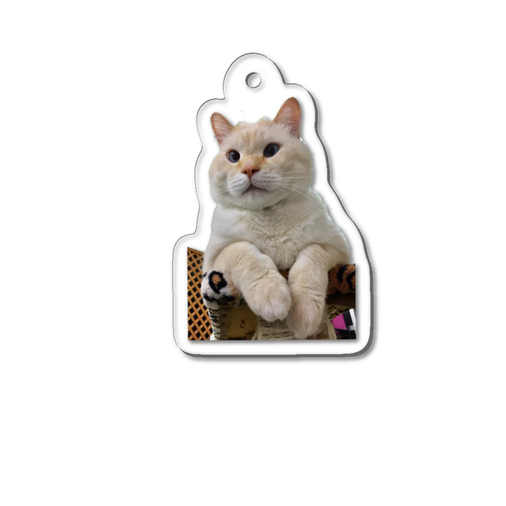 保護猫シェルターおうちにおいで。のむっちゃんAタイプ Acrylic Key Chain