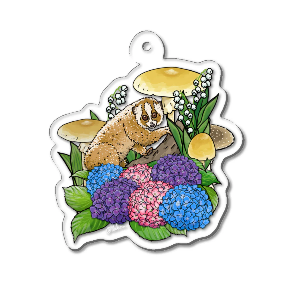 ウラケンストアの有毒動植綵絵スローロリス Acrylic Key Chain